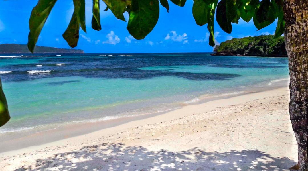 Photo of Others in Las Galeras