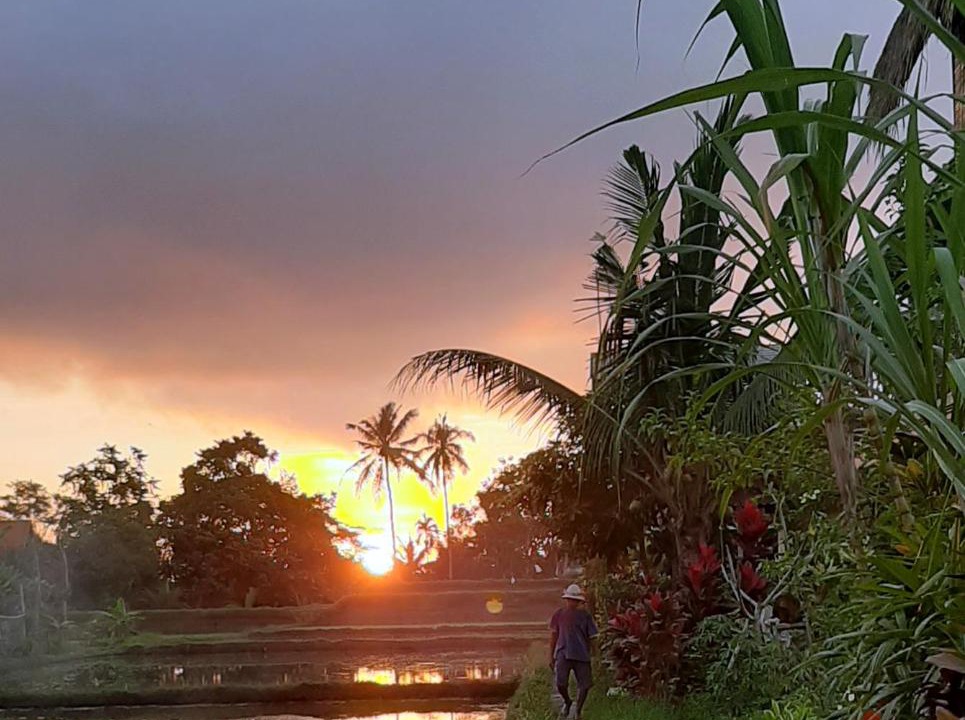 Photo of Others in Ubud City-Centre