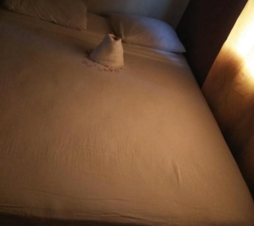 Photo of Bedroom in Samana