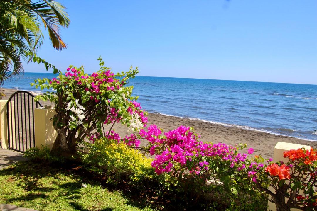 Photo of Outdoor in Dencarik