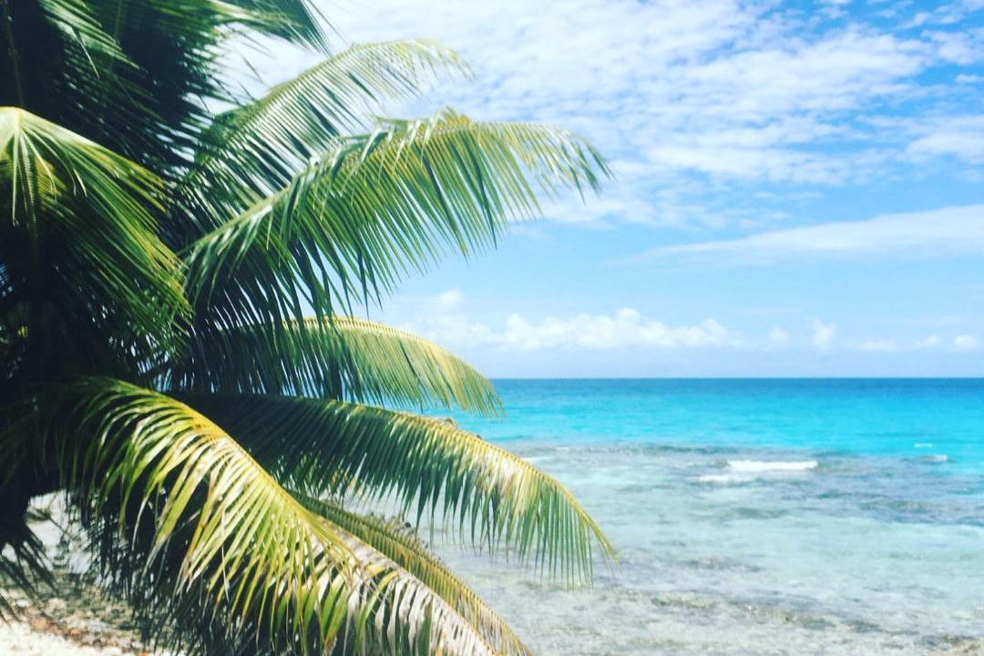 Photo of Others in Rangiroa