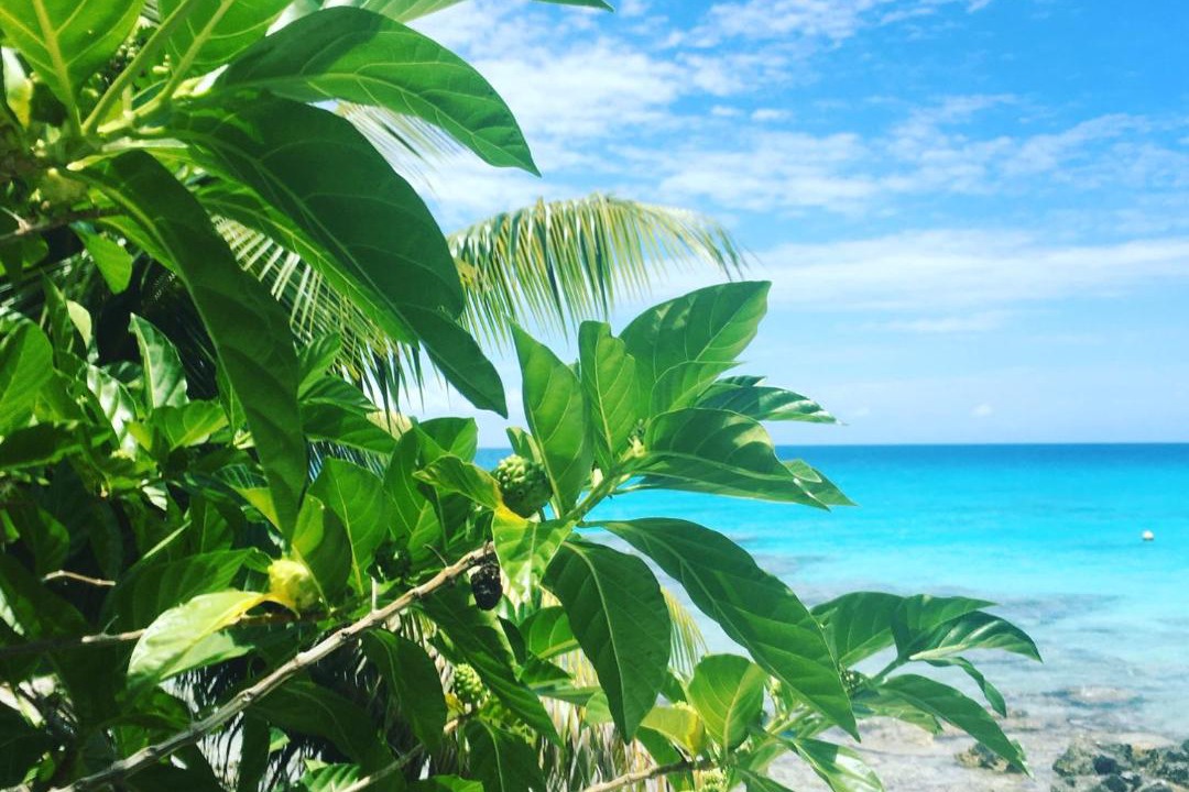 Photo of Others in Rangiroa
