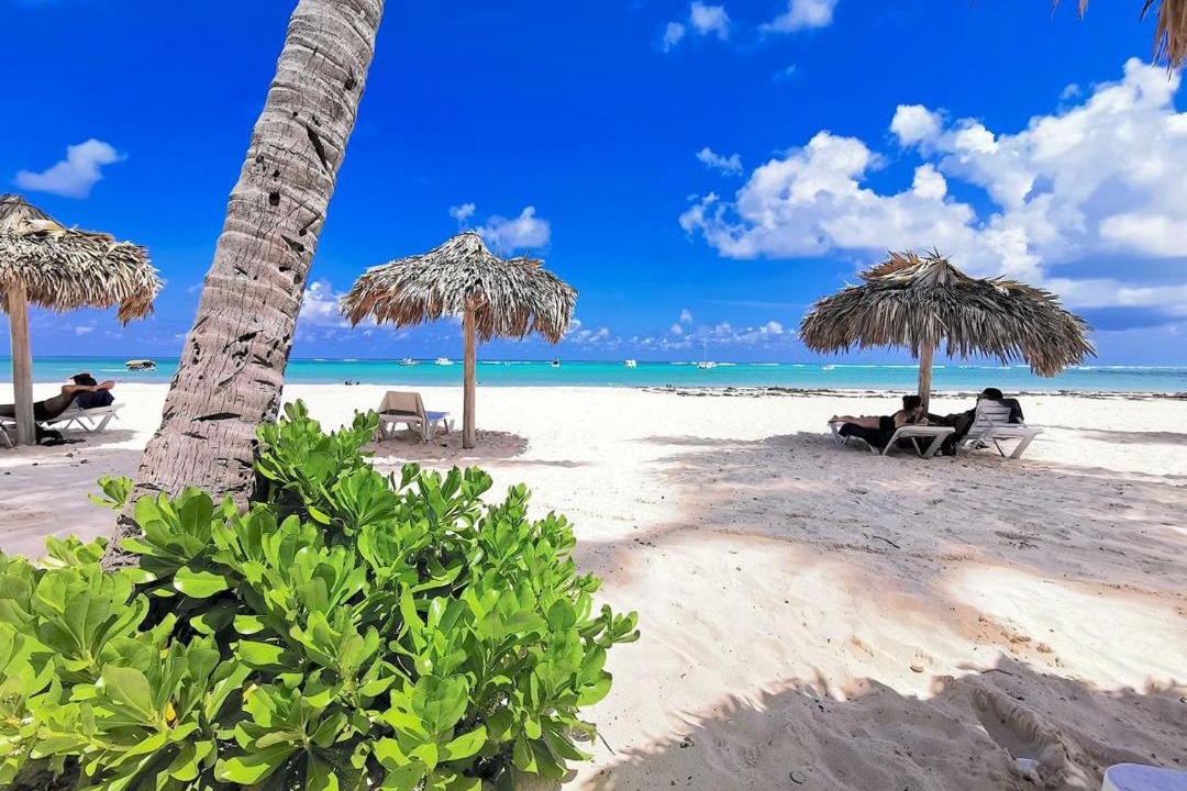 Photo of Outdoor in Bavaro