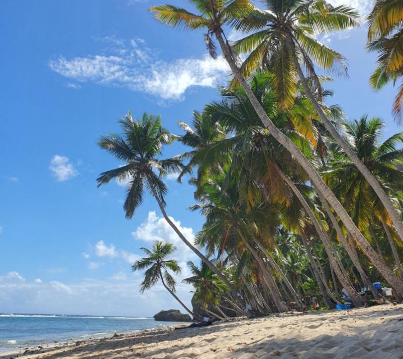 Photo of Others in Las Galeras