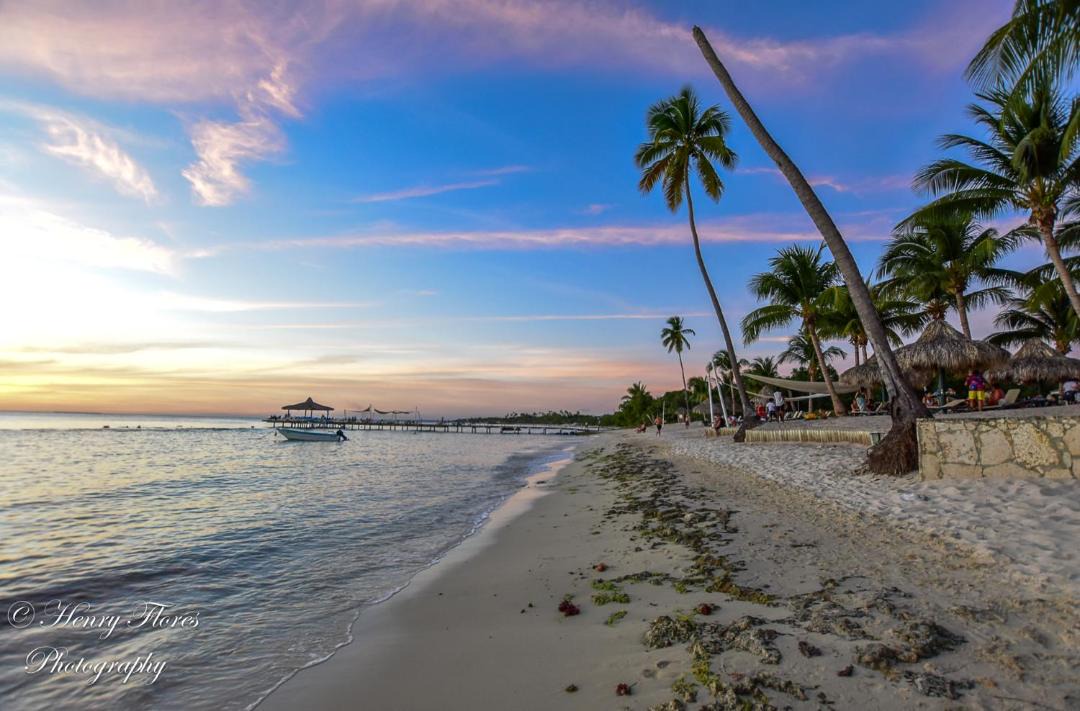 Photo of Others in Dominicus
