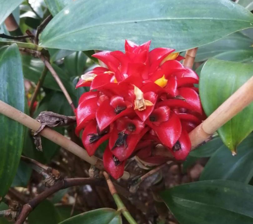 Photo of Outdoor in La Vega Province