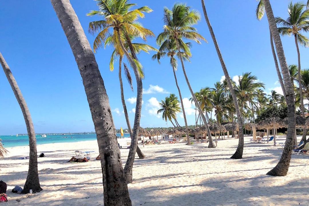 Photo of Outdoor in Bavaro