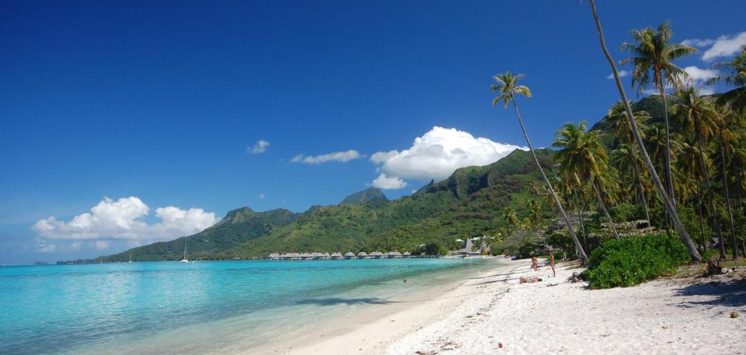 Photo of Outdoor in Cook's Bay