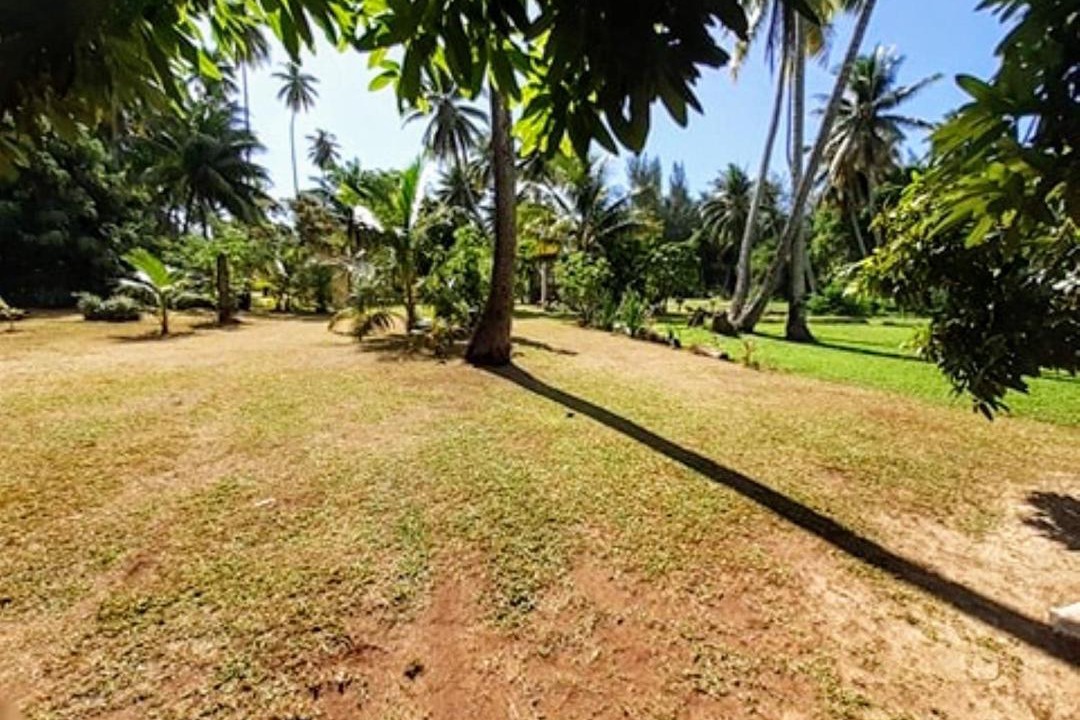 Photo of Others in Moorea-Maiao