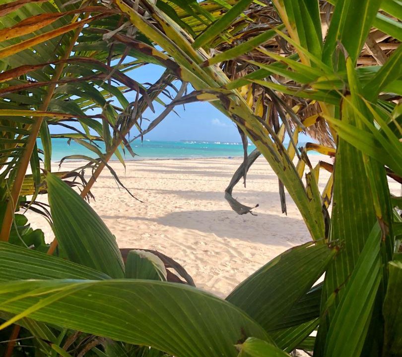 Photo of Outdoor in Bavaro
