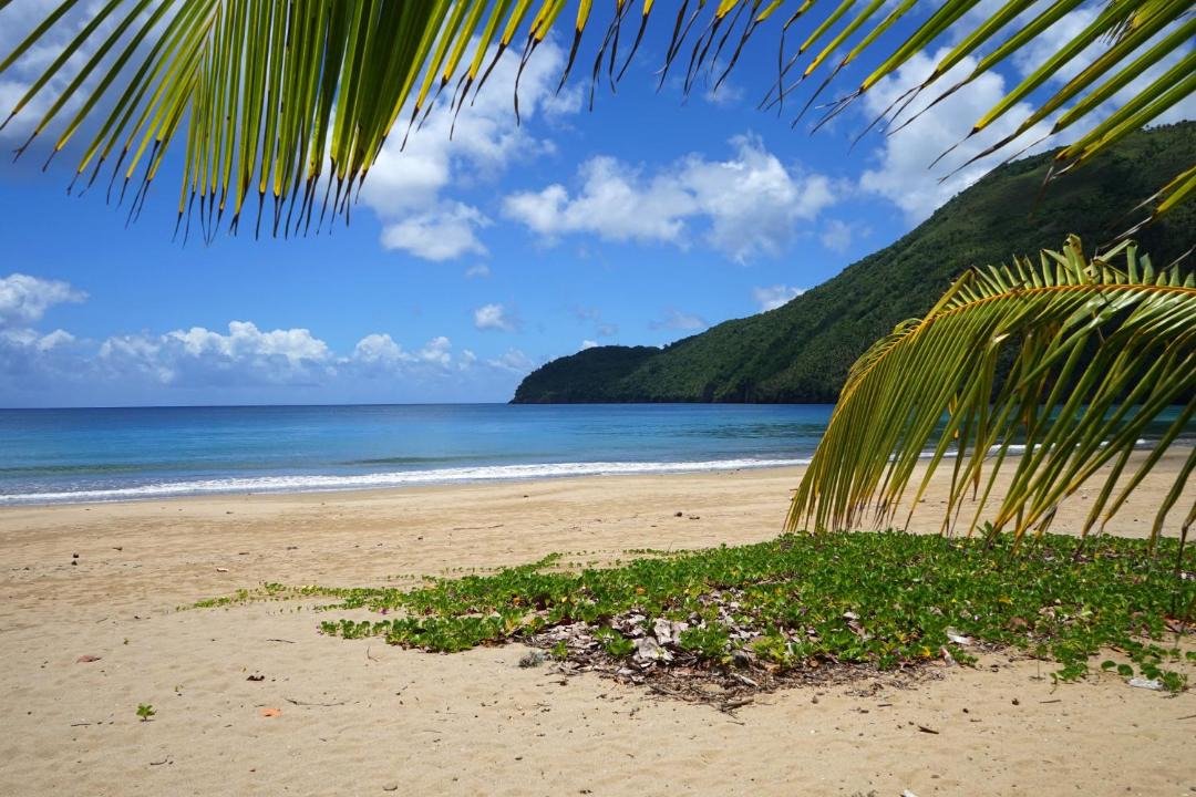 Photo of Others in Samana
