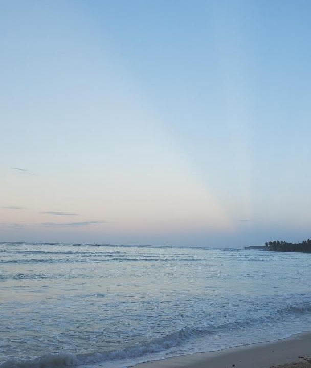 Photo of Others in Las Galeras
