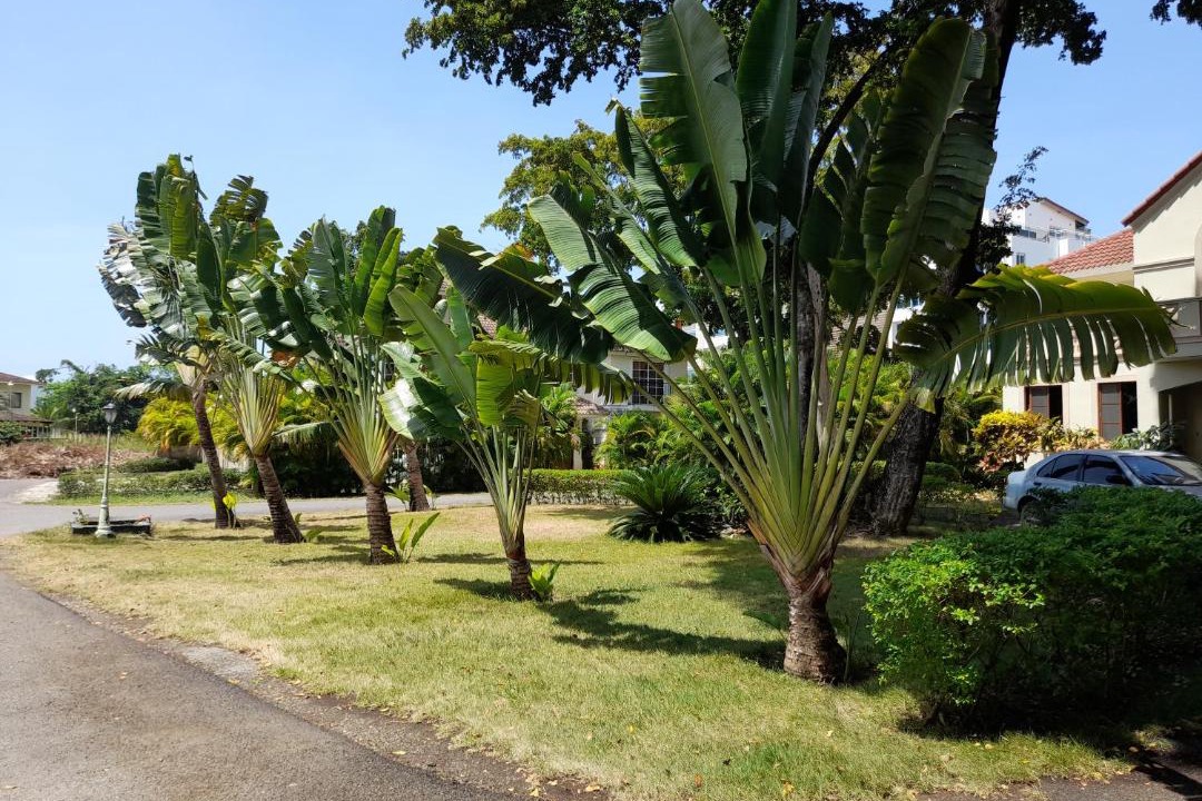 Photo of Outdoor in Sosua