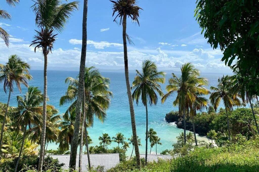 Photo of Others in Punta Balandra