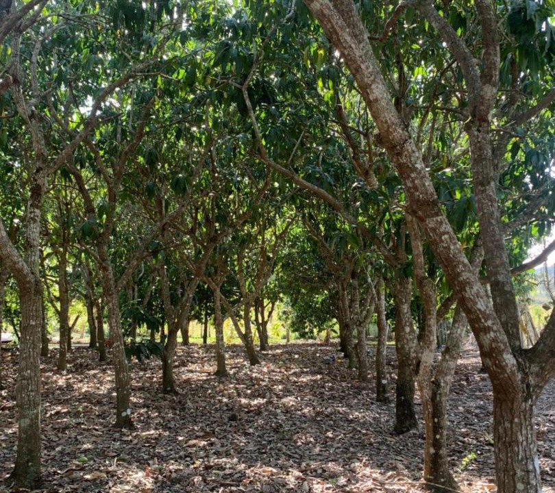 Photo of Outdoor in Higuey