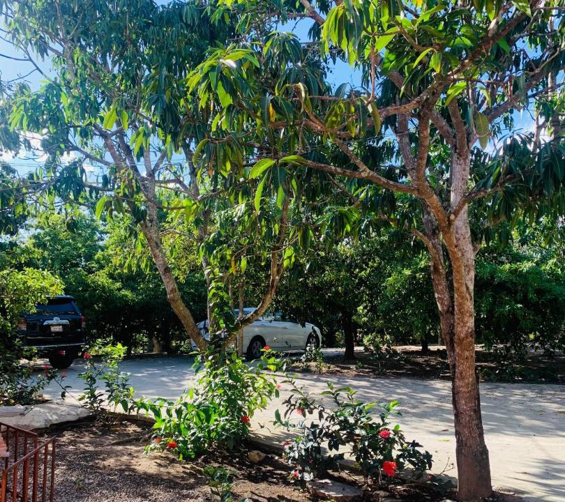 Photo of Outdoor in Higuey