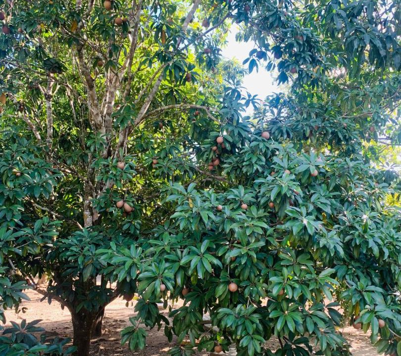 Photo of Others in Higuey