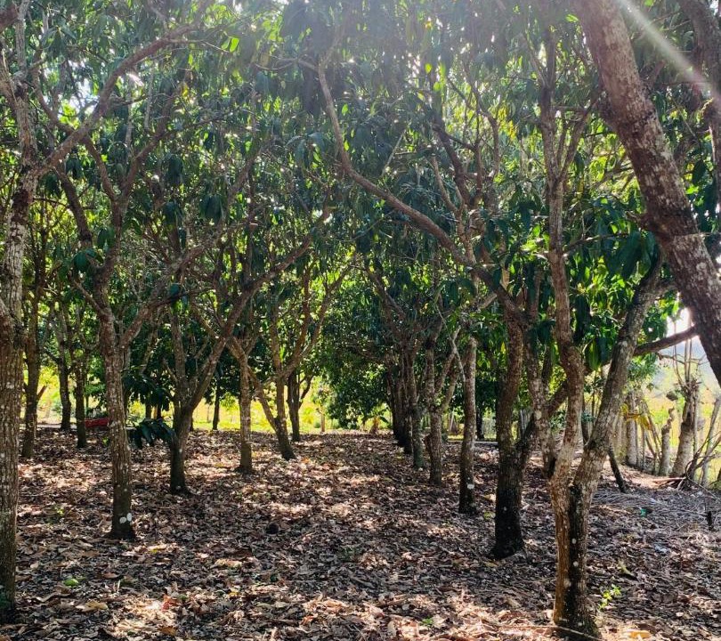 Photo of Outdoor in Higuey