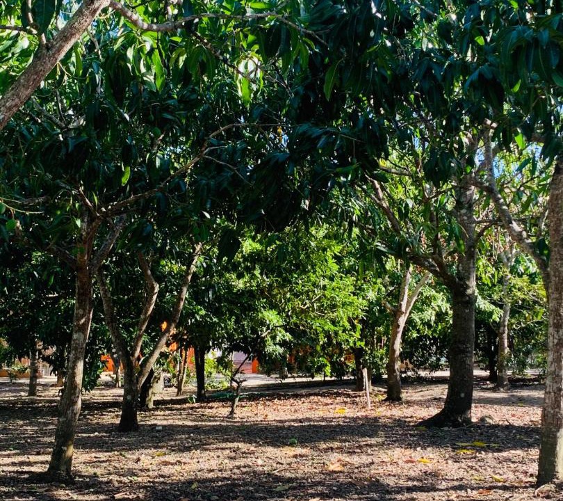 Photo of Outdoor in Higuey