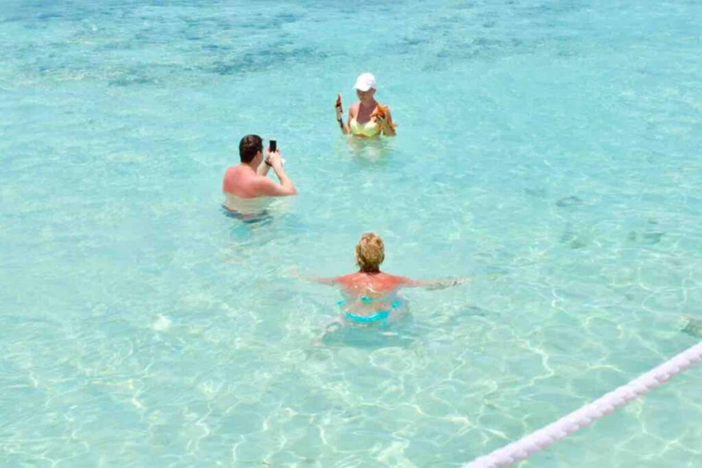 Photo of Others in Dominicus