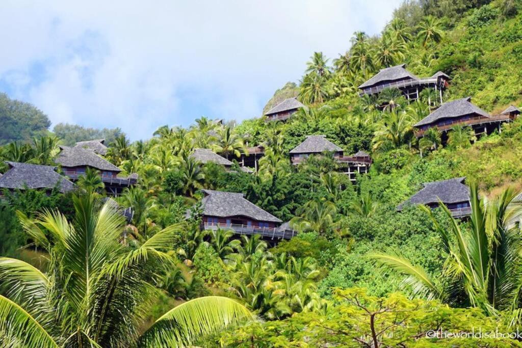 Photo of Others in Moorea-Maiao