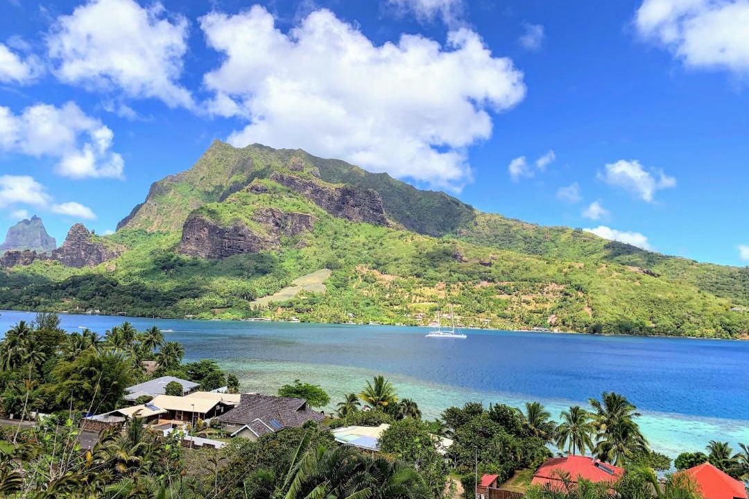 Photo of Outdoor in Cook's Bay