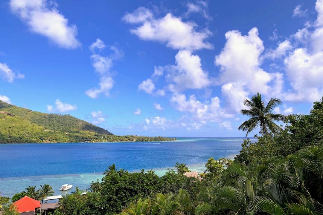 Photo of Outdoor in Cook's Bay