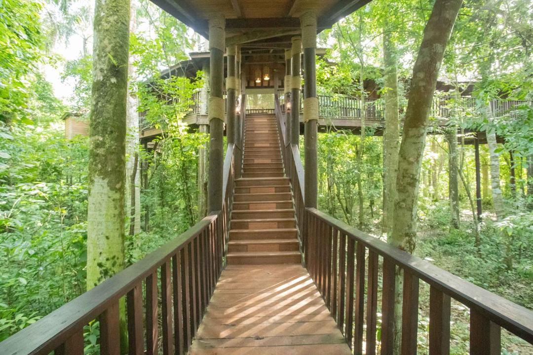 Photo of Others in Paraiso