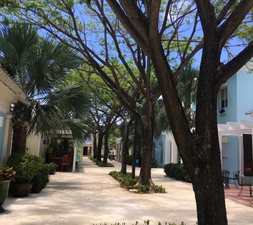 Photo of Others in Punta Cana Village
