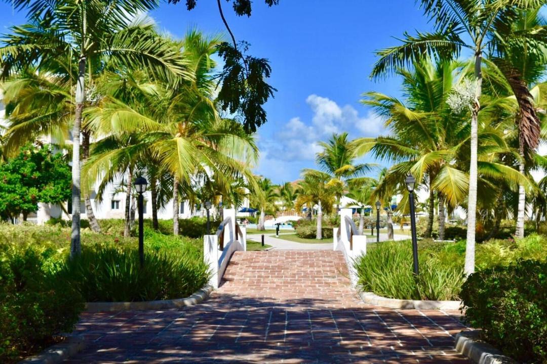 Photo of Others in Dominicus