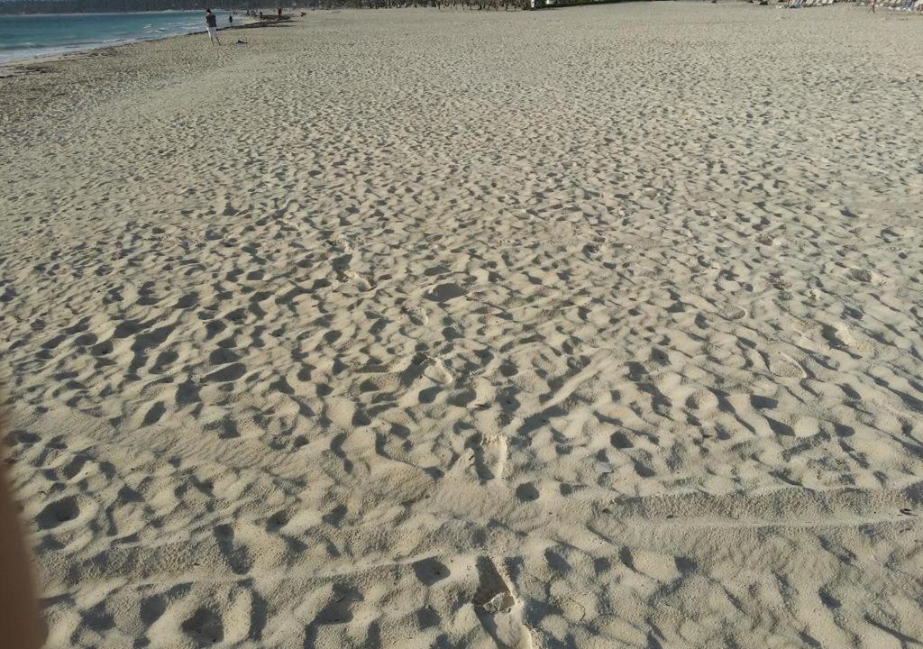 Photo of Others in Playa Bibijagua