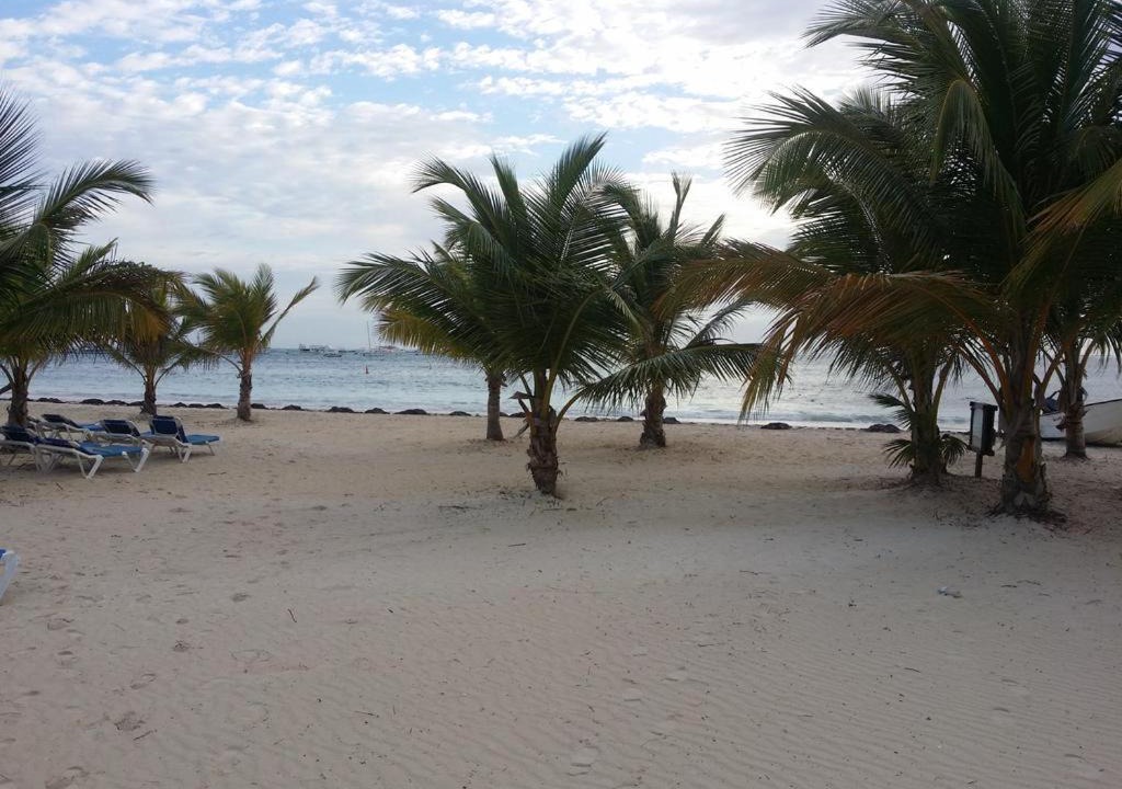 Photo of Others in Playa Bibijagua