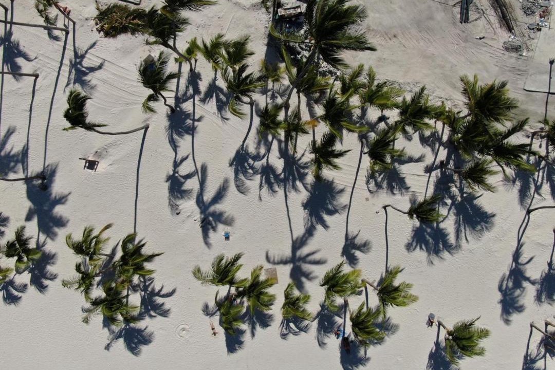 Photo of Others in Playa Bibijagua