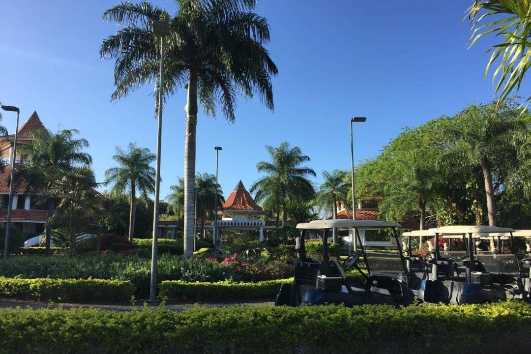 Photo of Others in Guayacanes