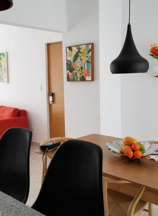 Photo of Livingroom in Santo Domingo