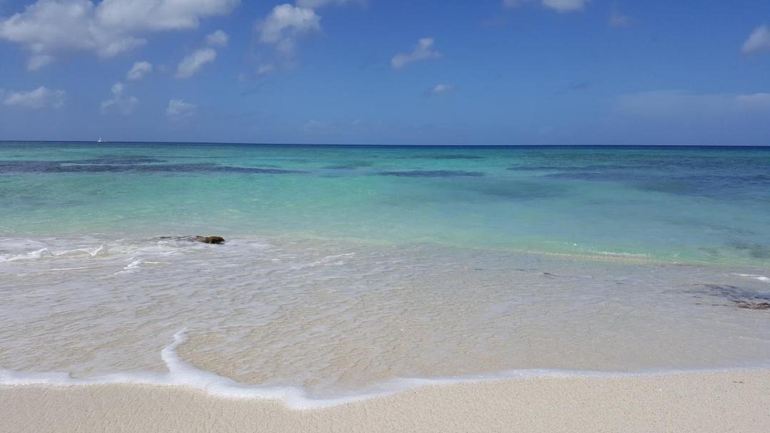 Photo of Others in Dominicus