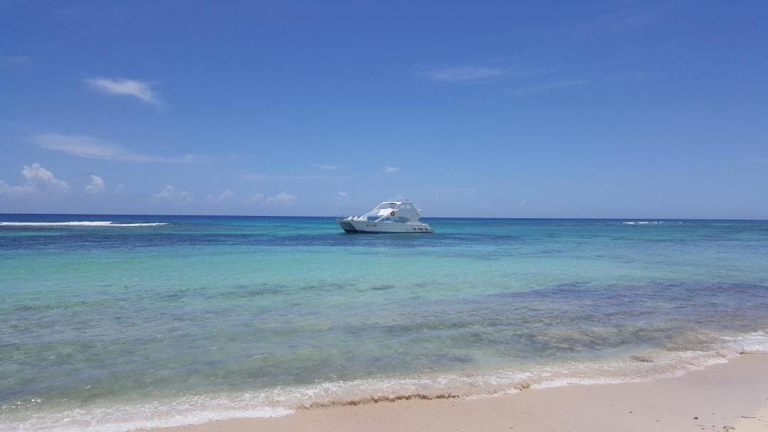 Photo of Others in Dominicus