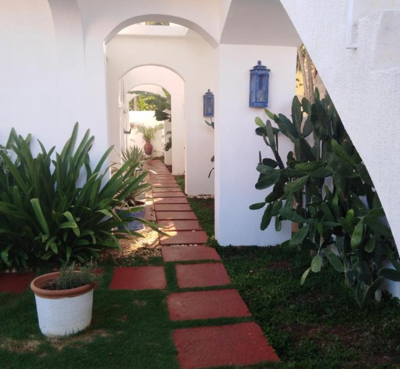 Photo of Others in Dominicus