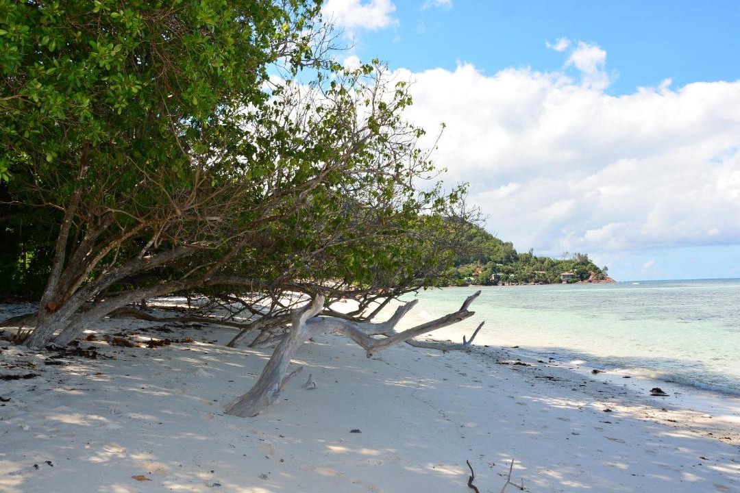 Photo of Others in Anse la Blague
