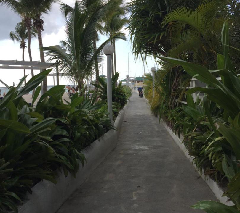 Photo of Others in Boca Chica