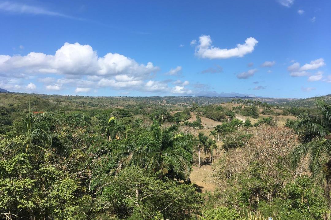 Photo of Outdoor in Munoz