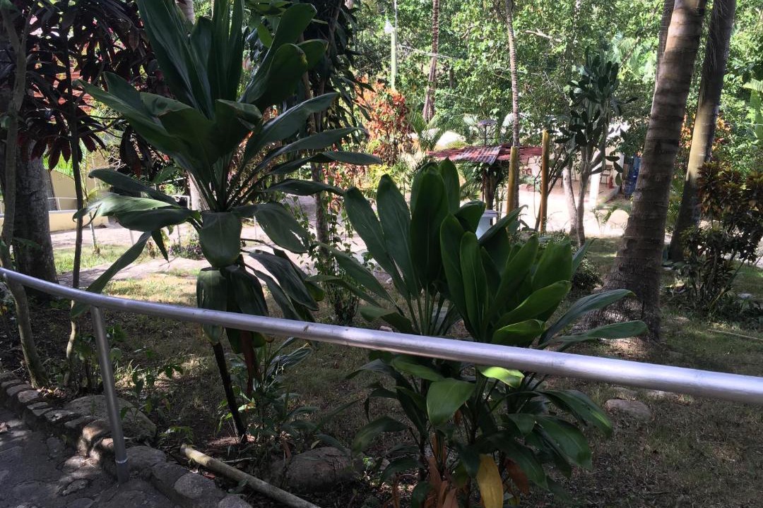 Photo of Outdoor in Munoz