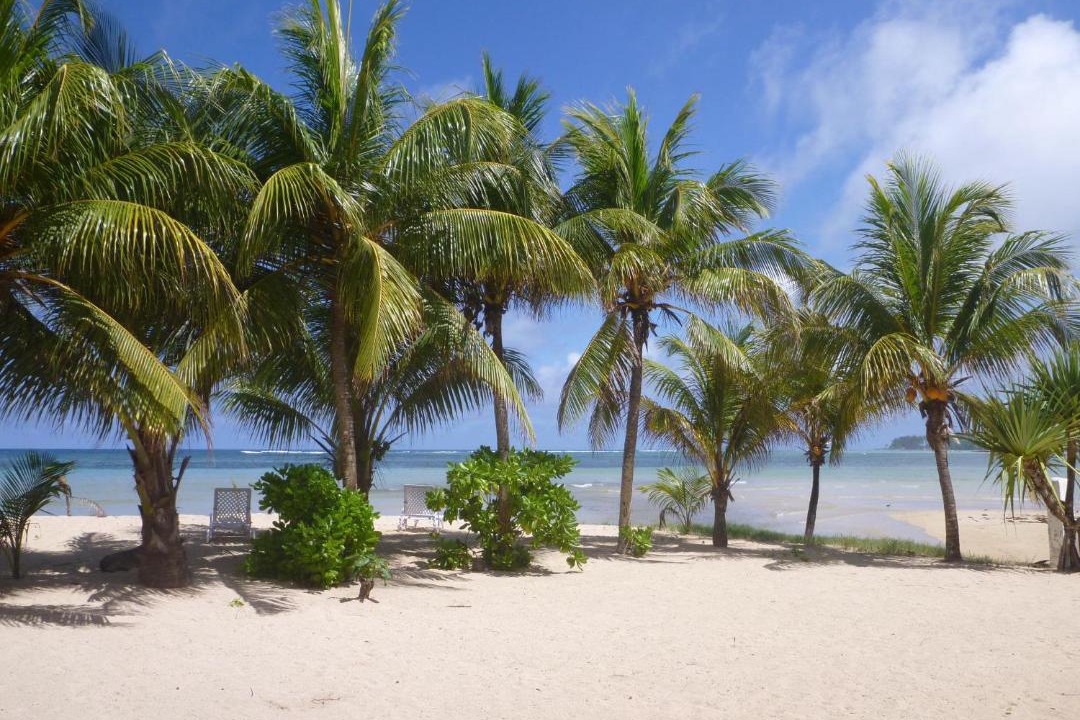 Photo of Others in Anse aux Pins