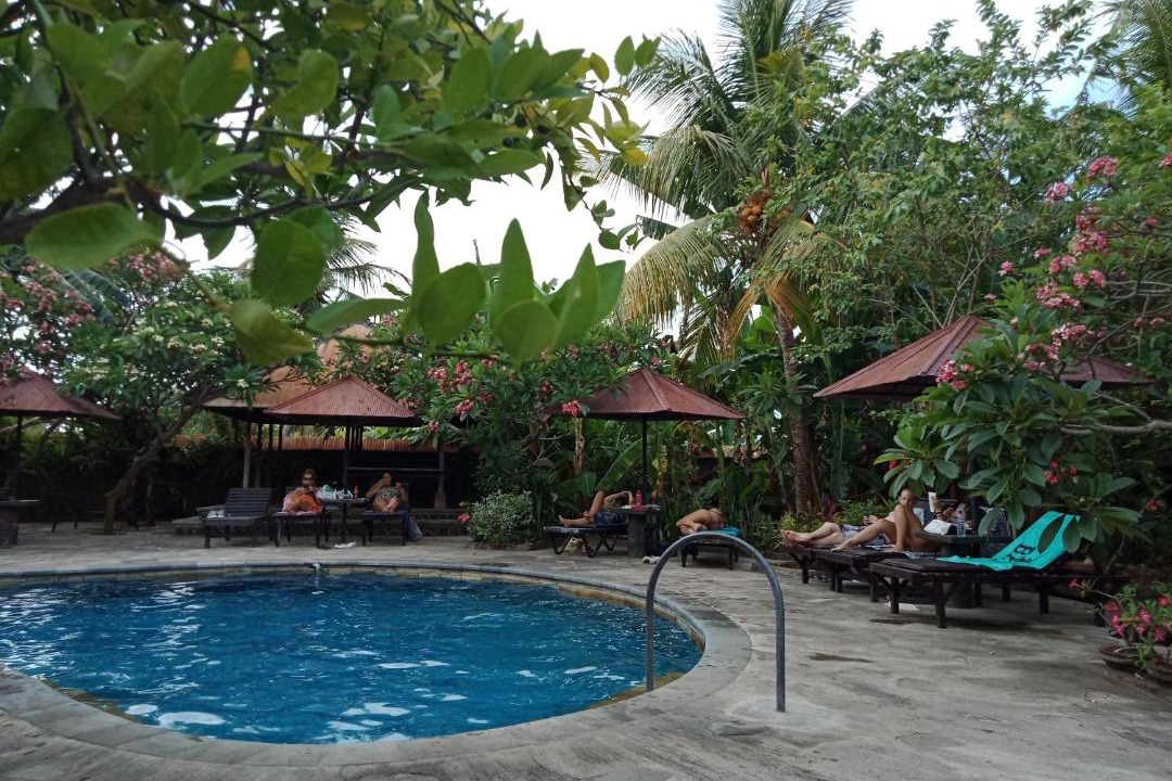 Photo of Outdoor in Lovina