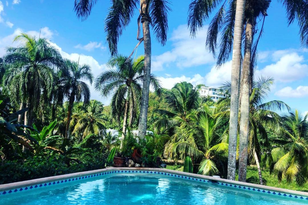 Photo of Outdoor in Las Terrenas