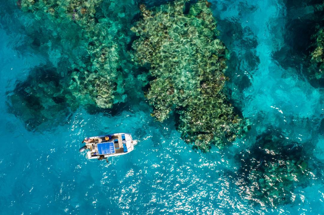 Photo of Others in Nukubati Island