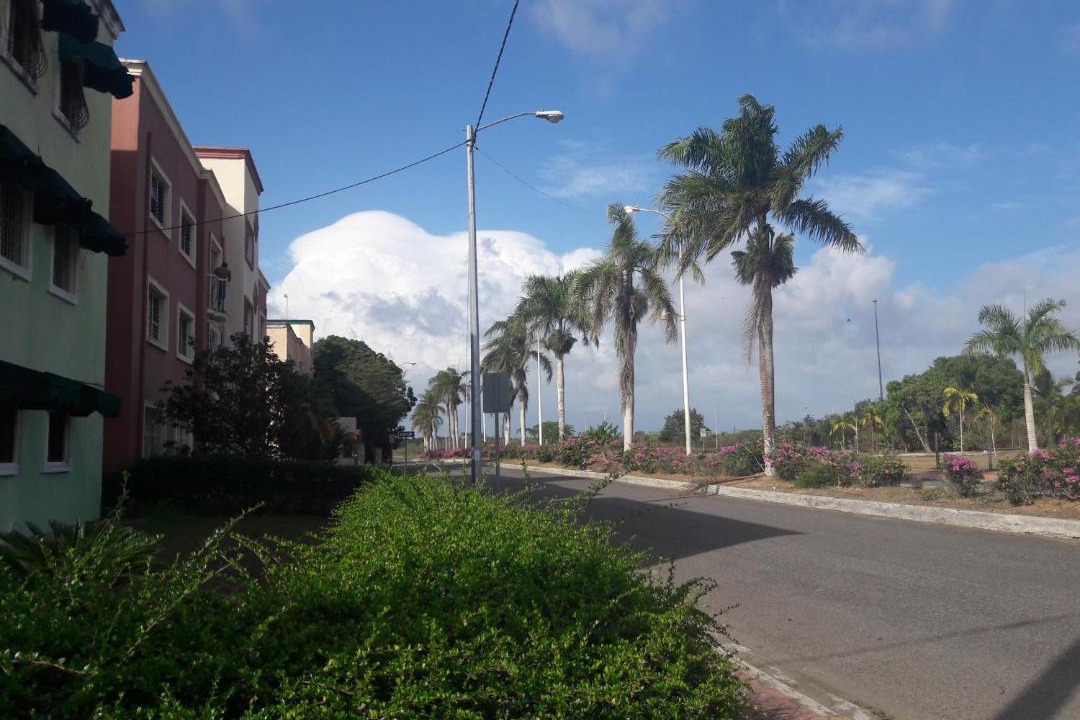 Photo of Others in La Caleta