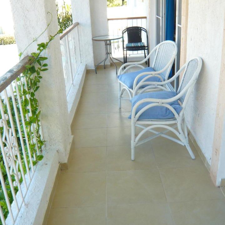 Photo of Others in Dominicus
