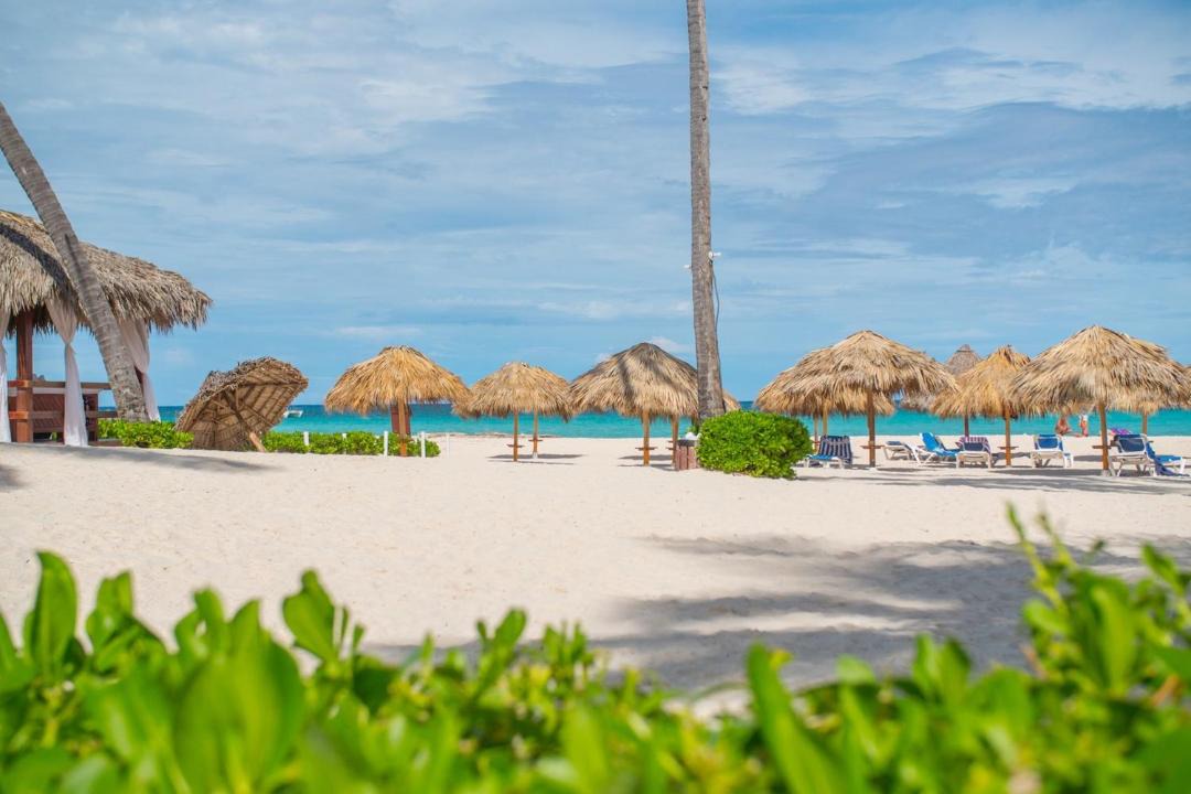 Photo of Others in Bavaro