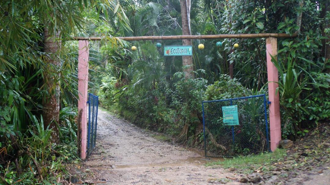 Photo of Others in Las Terrenas